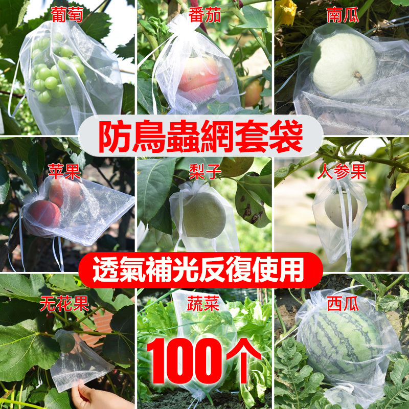 防鳥蟲透氣網