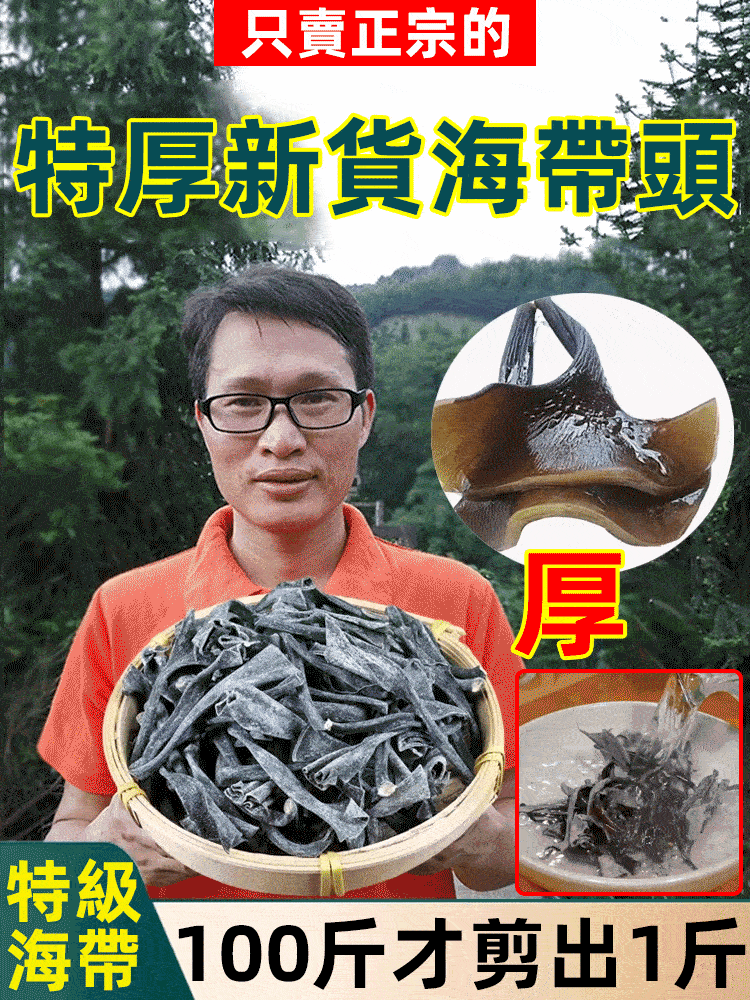 特厚海帶頭