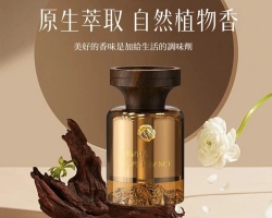 車載淨味香薰
